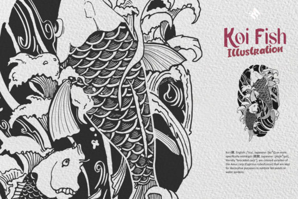 Koi Fish Illustration: A Practical Review for Graphics and Illustrations